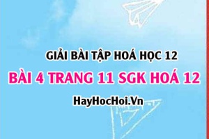 Giải bài 4 trang 11 SGK Hoá 12: Khái niệm Lipit, chất béo, tính chất hoá học của Chất béo